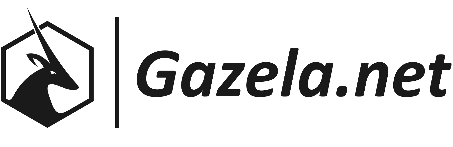 Gazela Networks